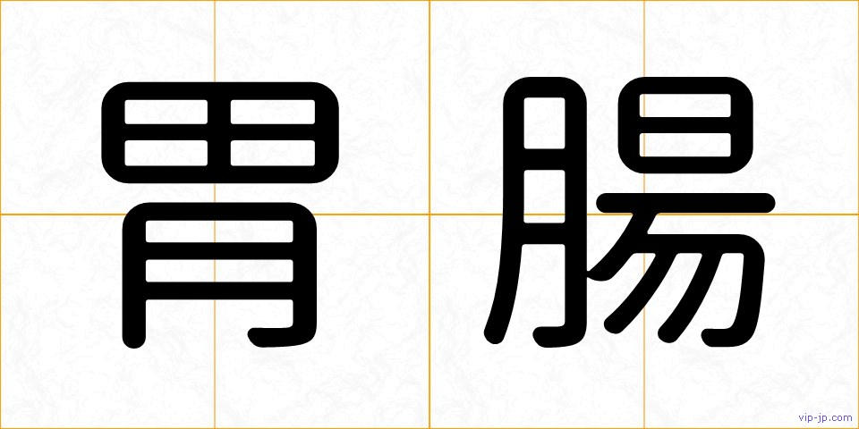 胃腸の画像