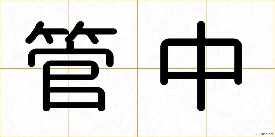 管中の画像