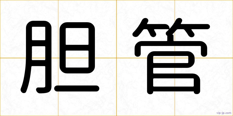 胆管の画像