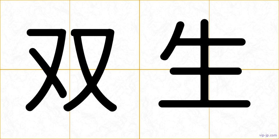 双生の画像