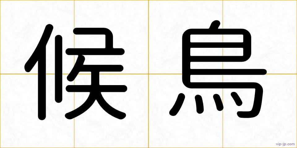 候鳥の画像