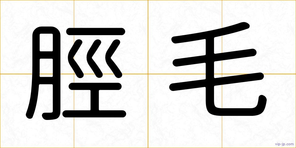 脛毛の画像
