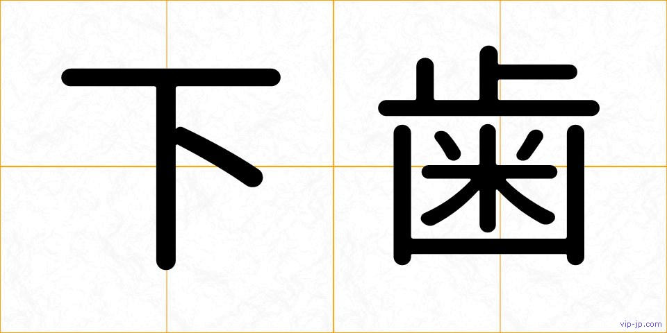 下歯の画像
