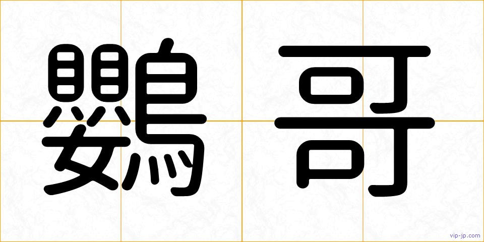 鸚哥の画像