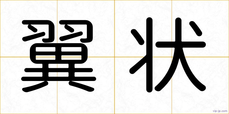 翼状の画像