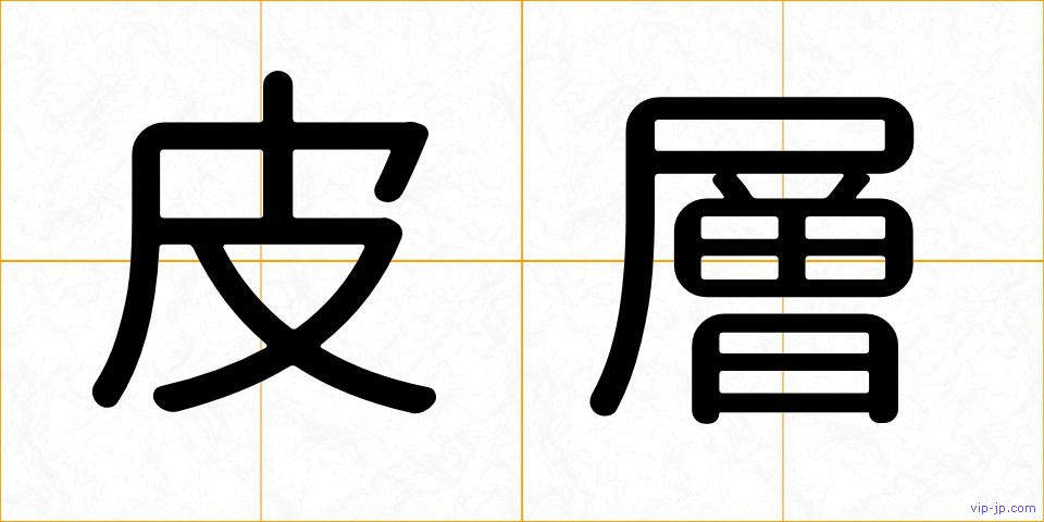 皮層の画像