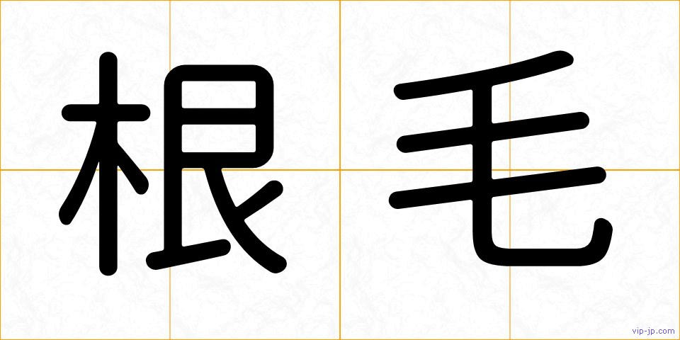 根毛の画像