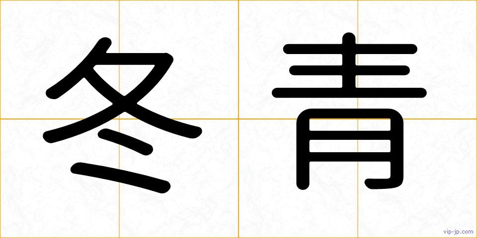 冬青の画像