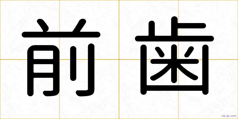 前歯の画像