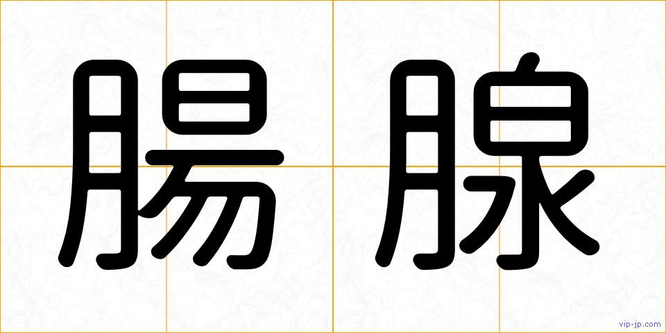 腸腺の画像