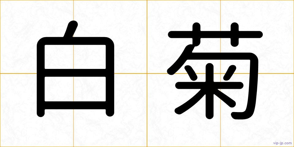 白菊の画像