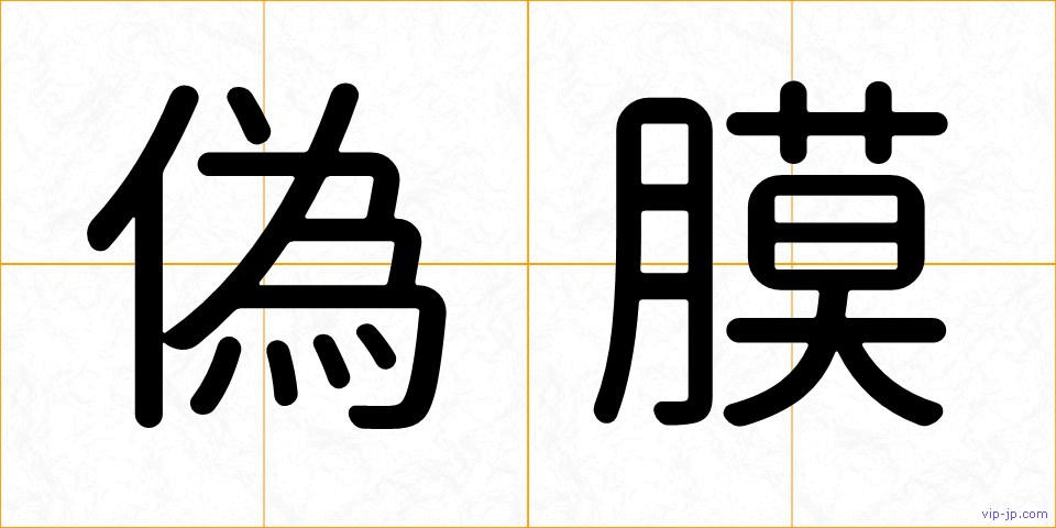 偽膜の画像