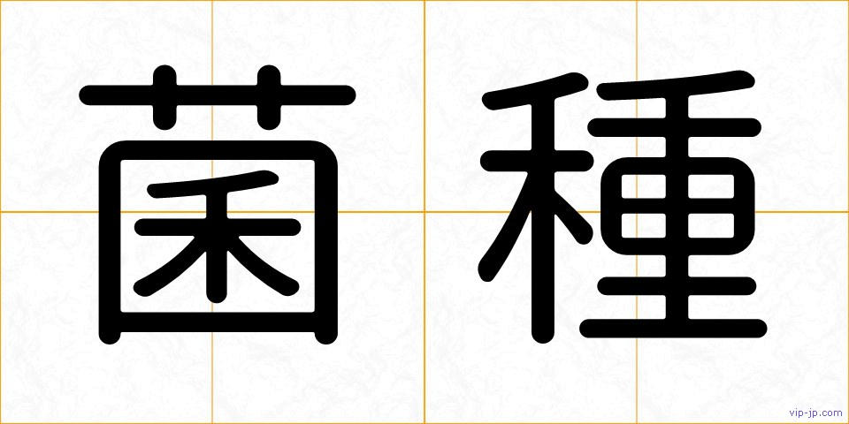 菌種の画像