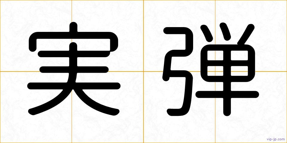 実弾の画像