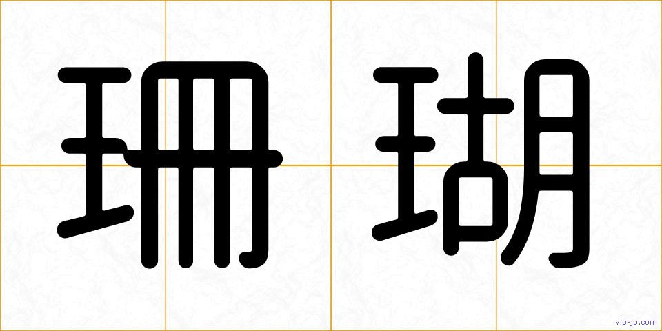 珊瑚の画像