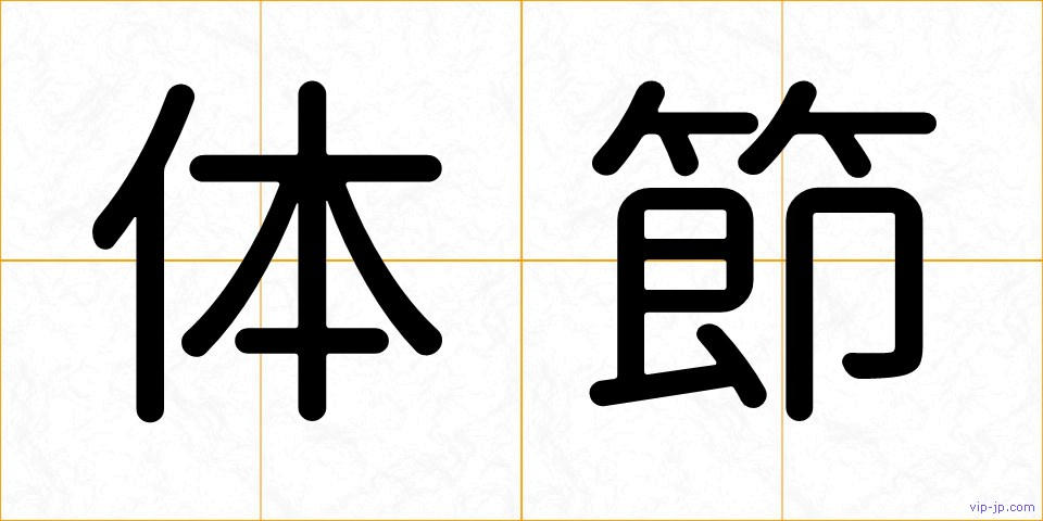 体節の画像