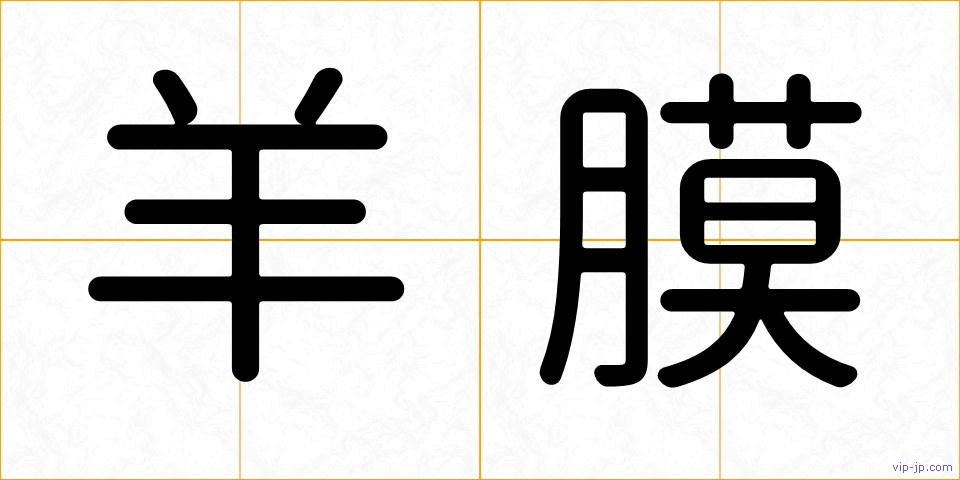 羊膜の画像