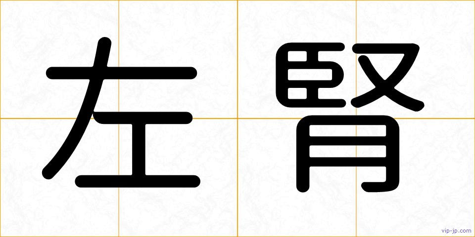 左腎の画像
