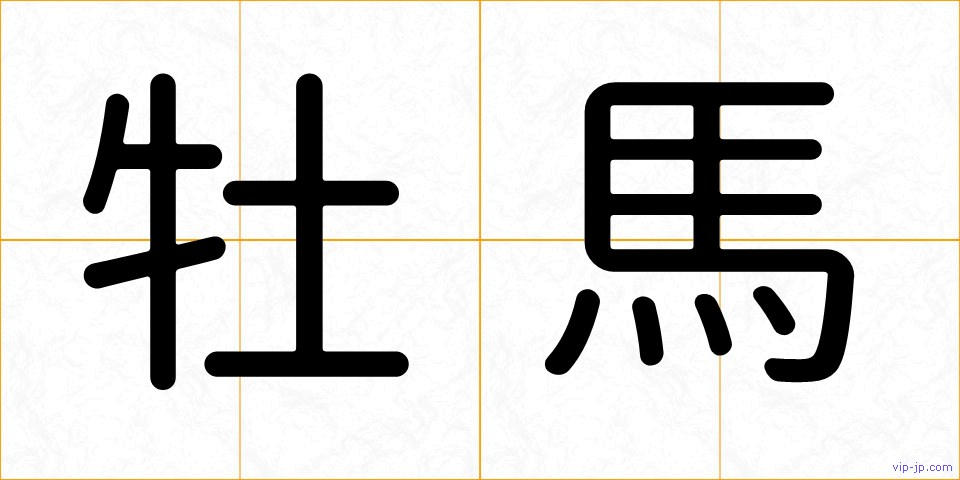 牡馬の画像