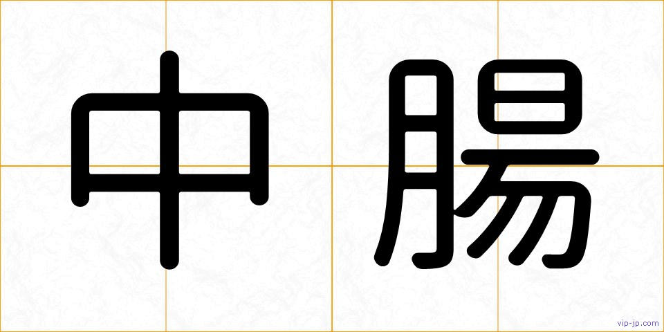 中腸の画像