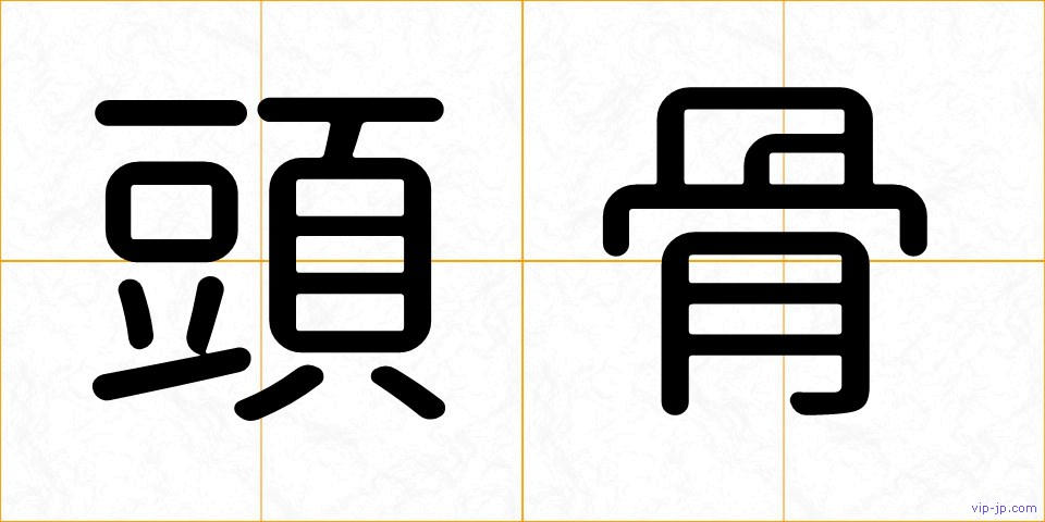頭骨の画像