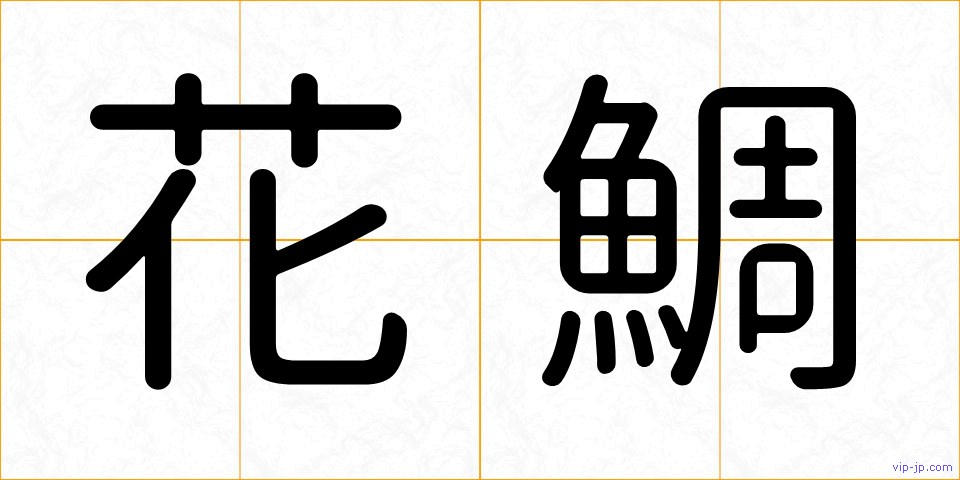 花鯛の画像