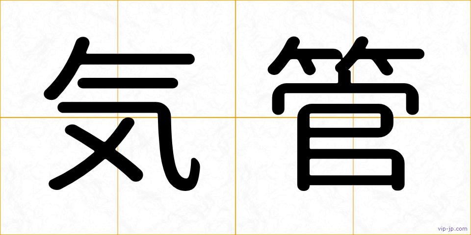 気管の画像