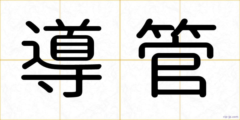 導管の画像