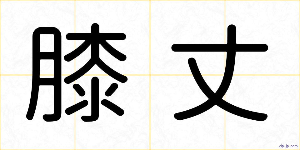 膝丈の画像