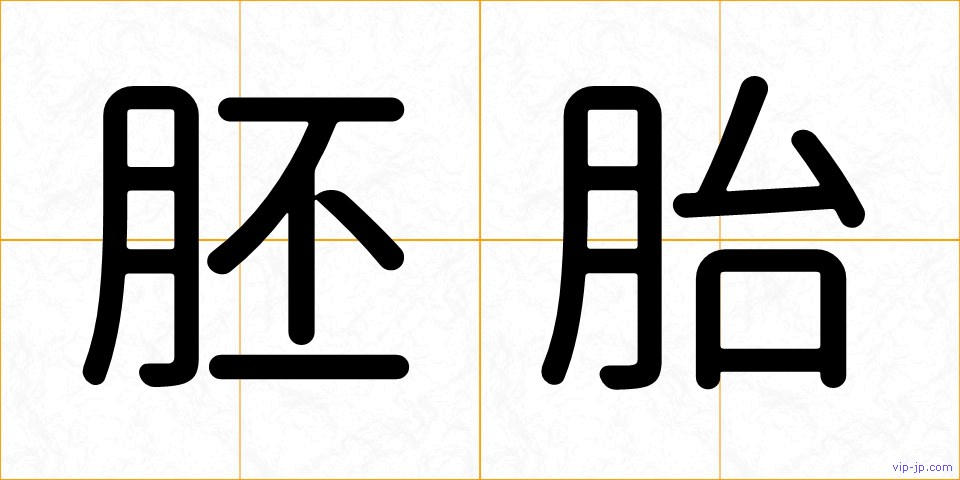 胚胎の画像