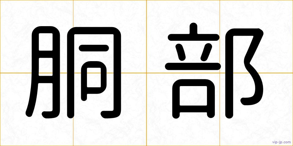 胴部の画像