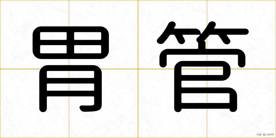 胃管の画像