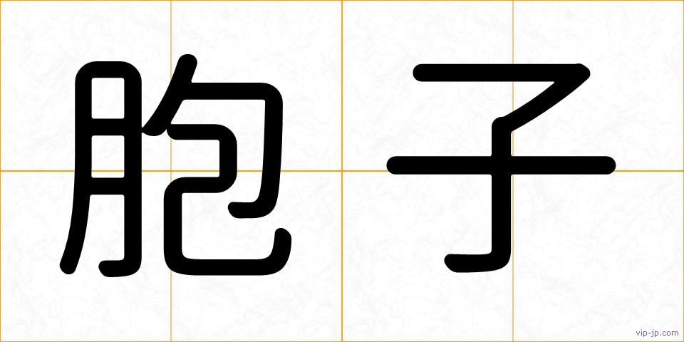 胞子の画像