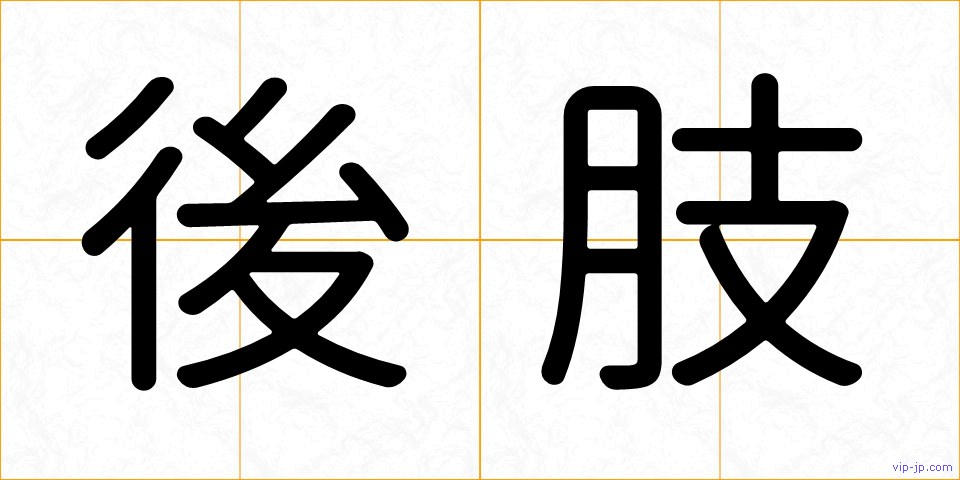 後肢の画像