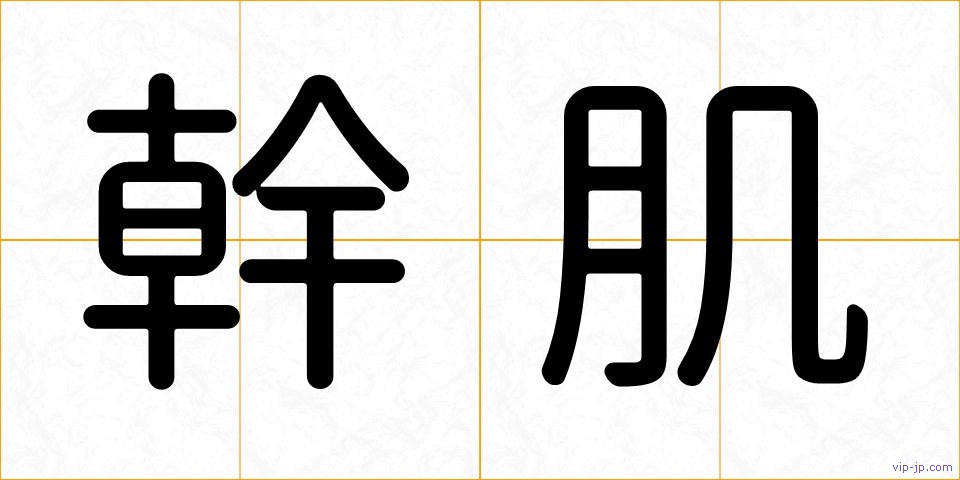 幹肌の画像
