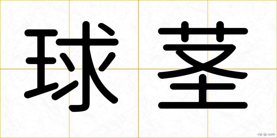 球茎の画像