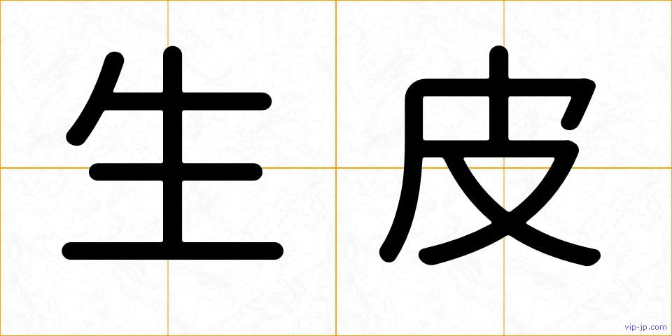 生皮の画像