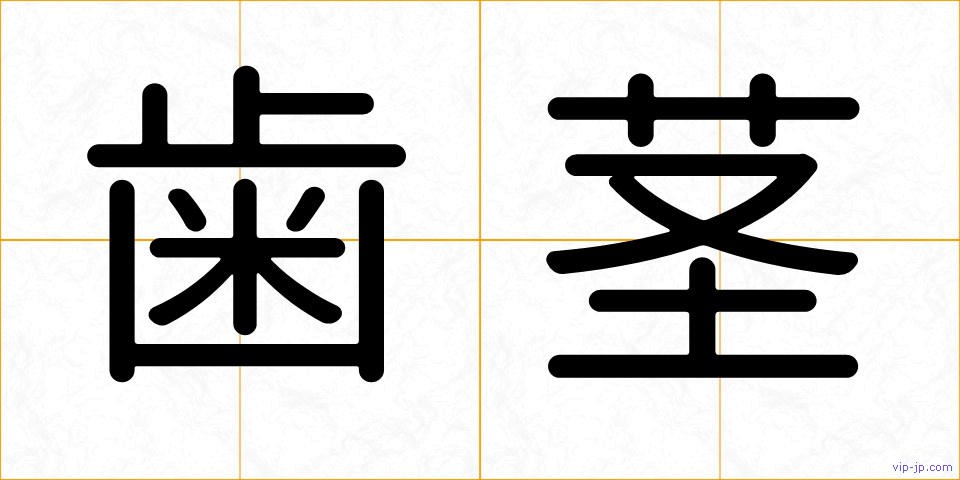 歯茎の画像