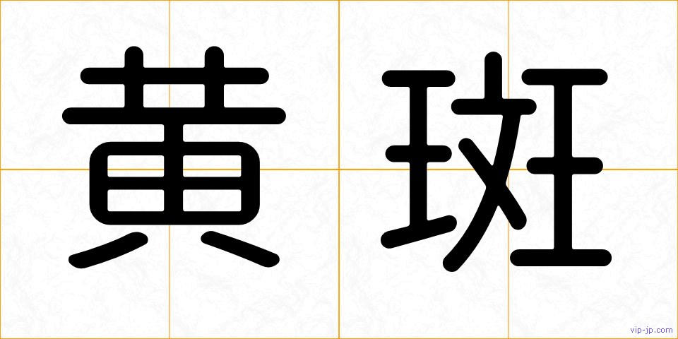 黄斑の画像