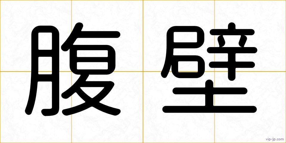 腹壁の画像