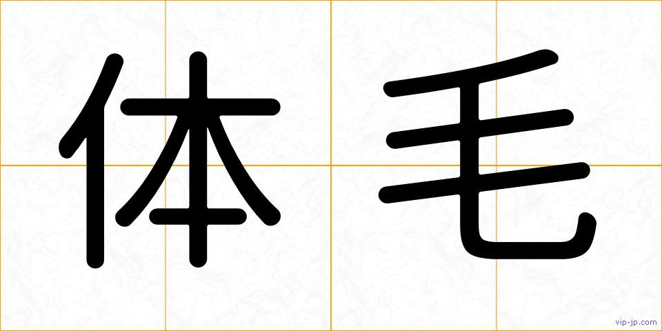 体毛の画像