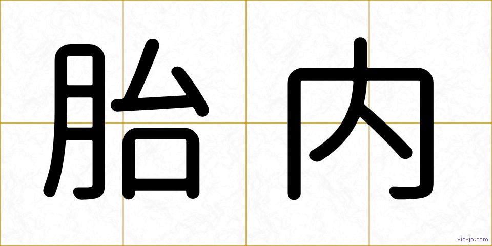 胎内の画像