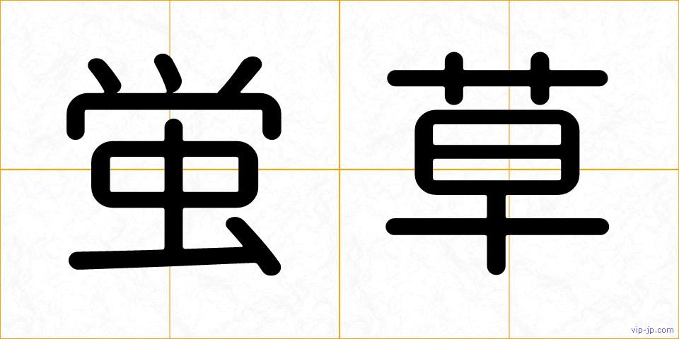蛍草の画像