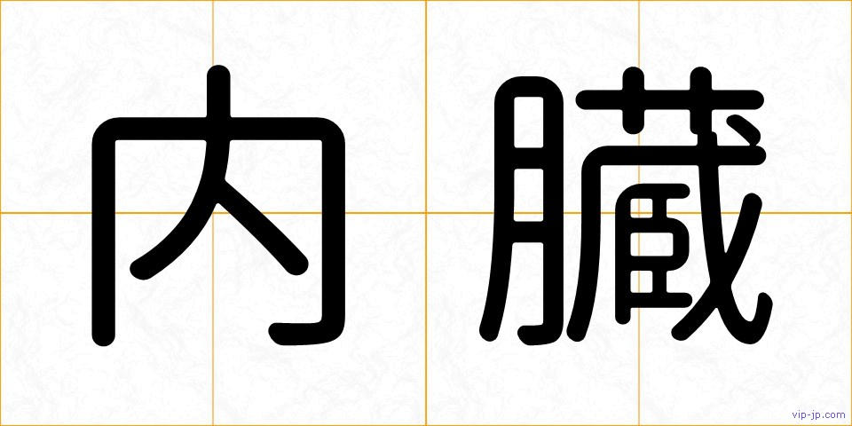内臓の画像