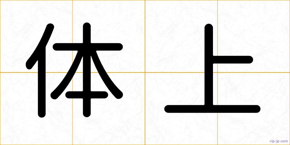体上の画像