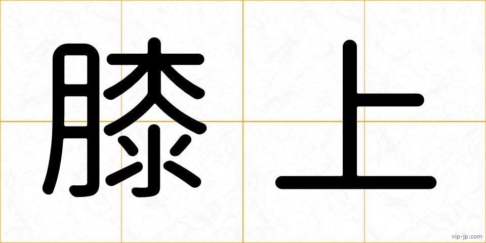 膝上の画像