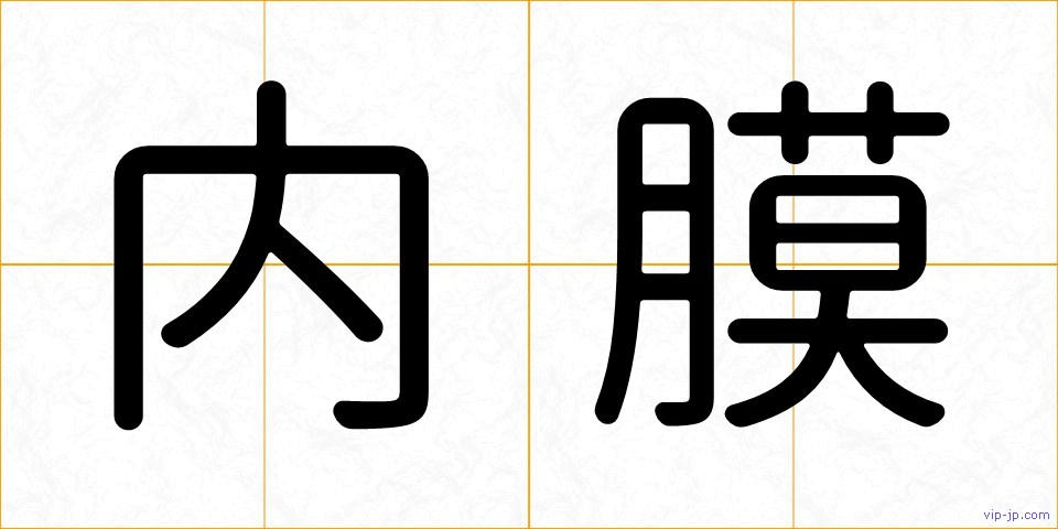 内膜の画像