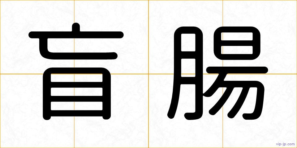 盲腸の画像