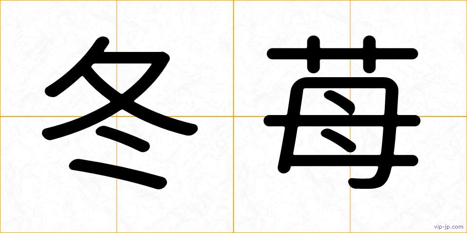 冬苺の画像