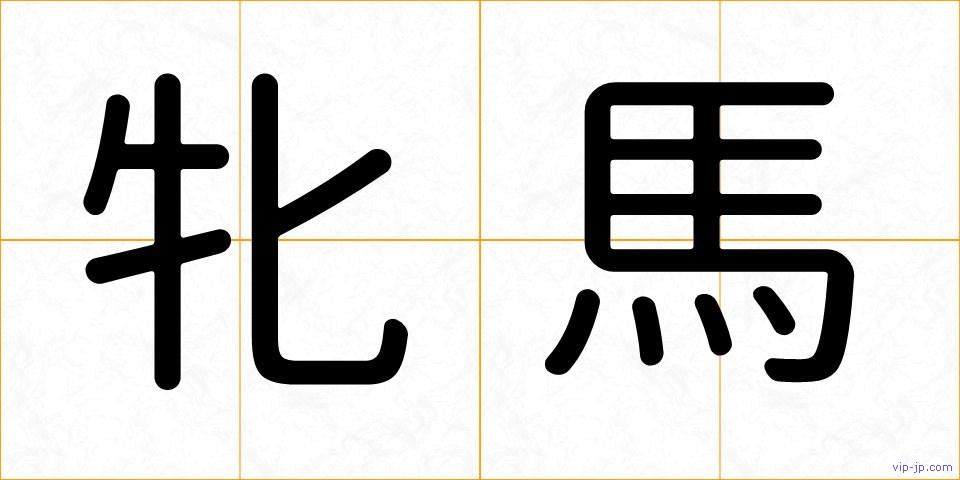 牝馬の画像